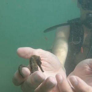 Meet your Posher, Brendan